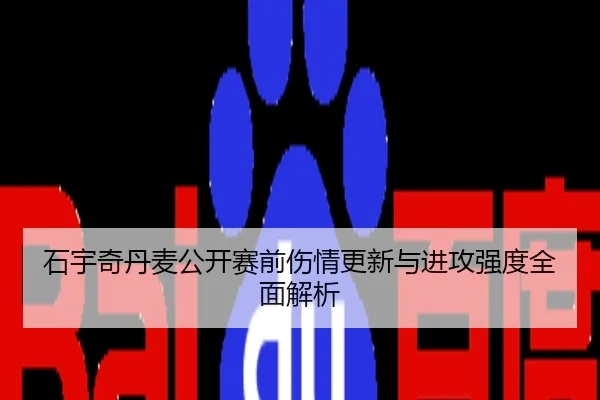 石宇奇丹麦公开赛前伤情更新与进攻强度全面解析