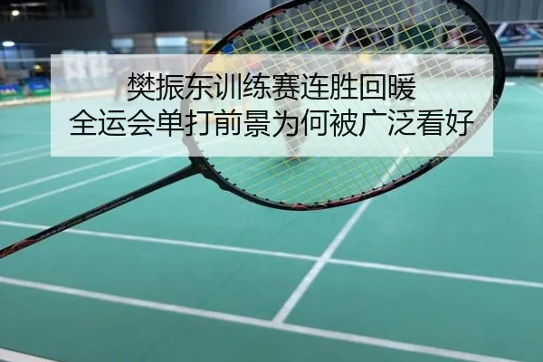 樊振东训练赛连胜回暖 全运会单打前景为何被广泛看好